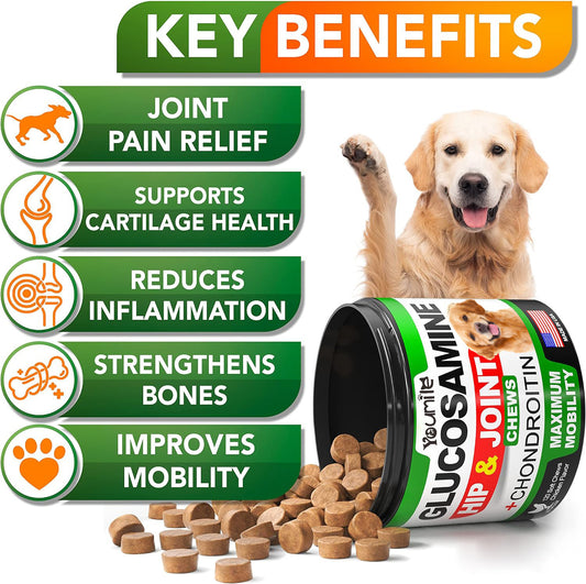 Supplement voor heupen en gewrichten van huisdieren, chondroïtine