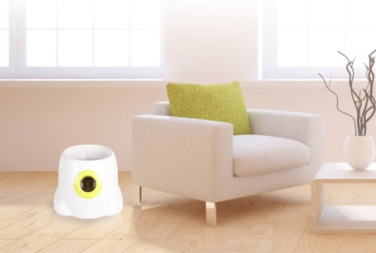 Hond Huisdier Automatische Interactieve Ballenwerper