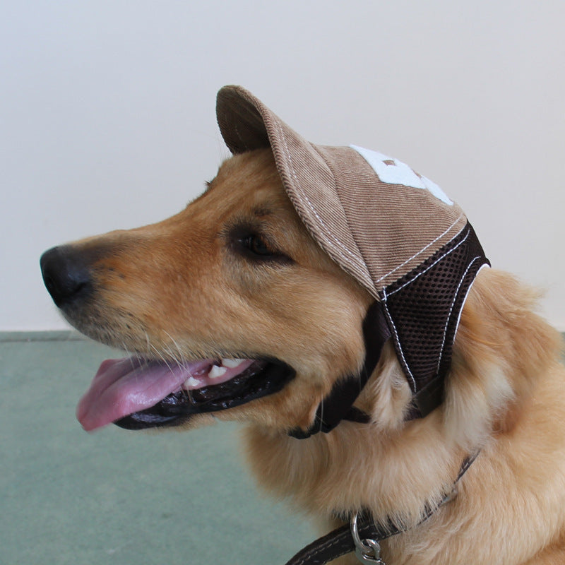 Cute dog hat