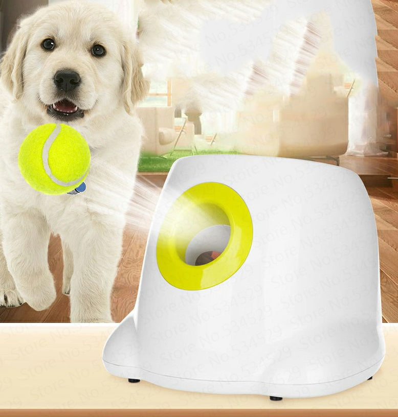 Hond Huisdier Automatische Interactieve Ballenwerper