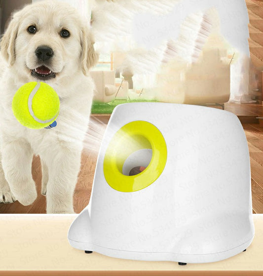 Hond Huisdier Automatische Interactieve Ballenwerper