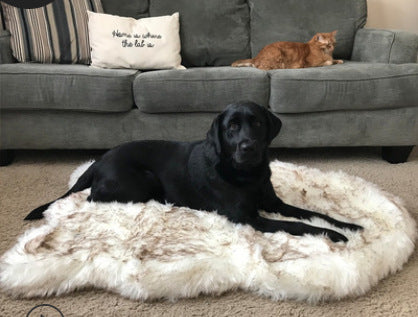 Memory Foam Fur Plush Pet Mat Blanket
