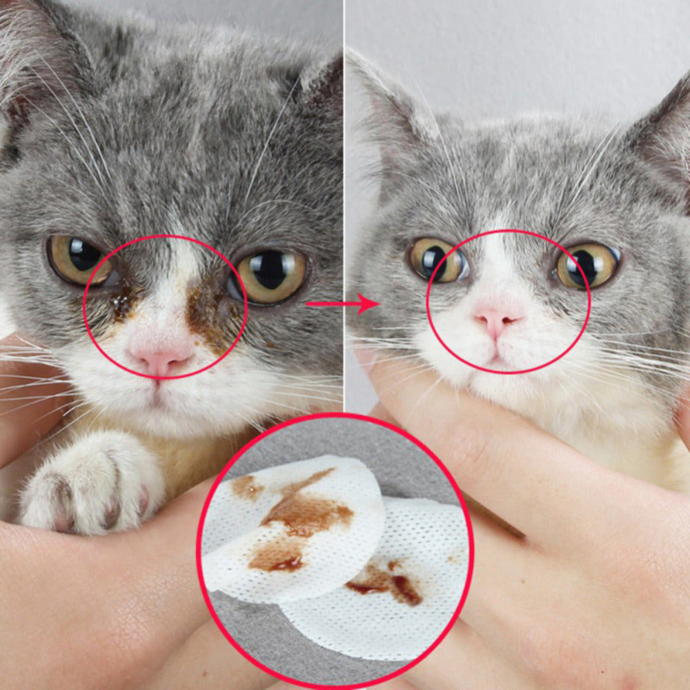 Pet Eye Grooming Wipes Hond Kattenogen Zachte Traanvlekken Reinigende Natte Doekjes Hygiënische Verzorgingsdoekjes voor Huisdieren