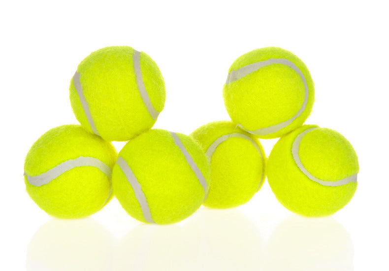 Hond Huisdier Automatische Interactieve Ballenwerper