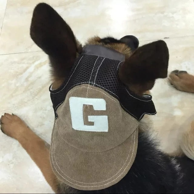 Cute dog hat