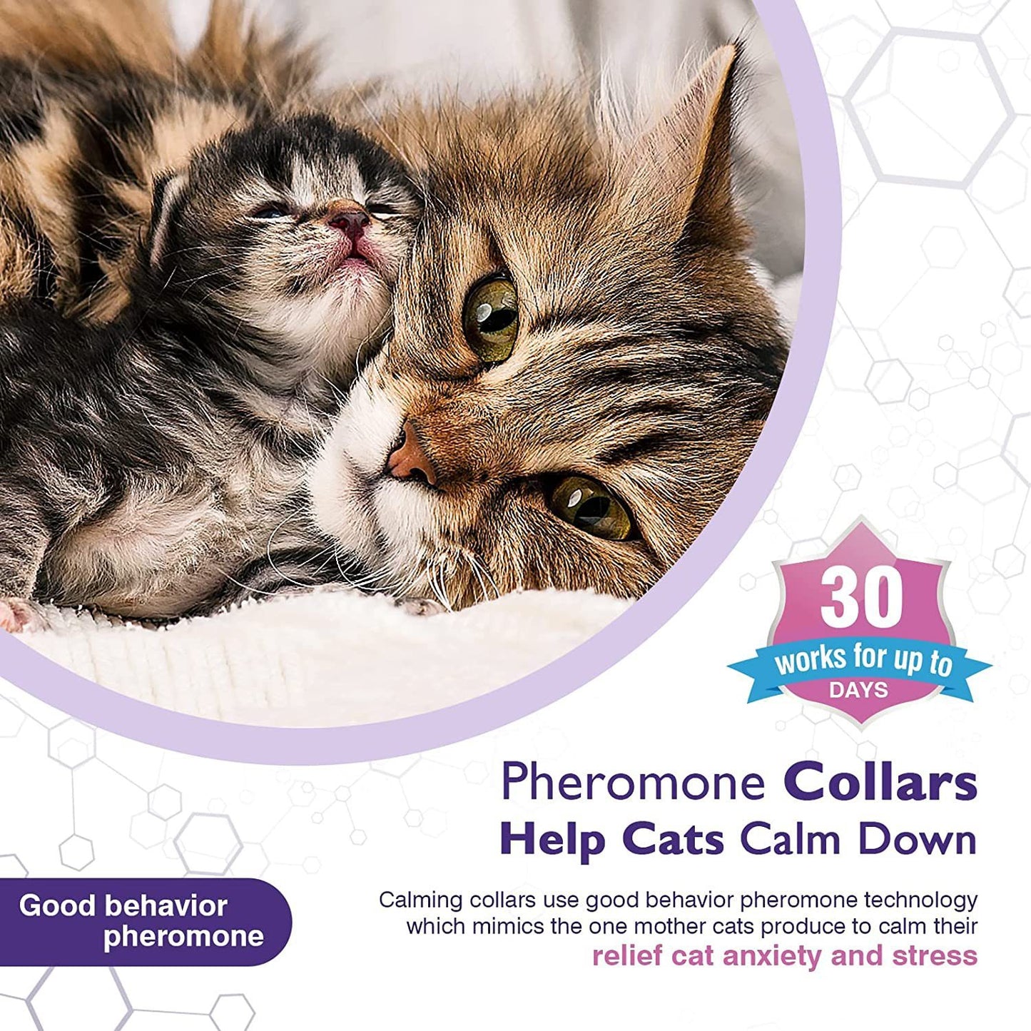 Pet Calm Collar Kattencomforthalsband Verlicht angst
