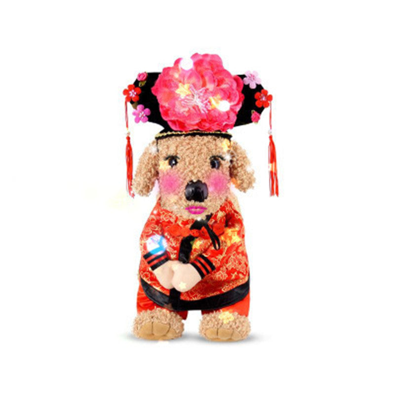 Grappige creatieve grappige huisdierkleding