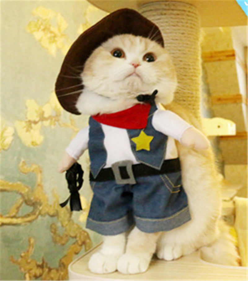 Grappige creatieve grappige huisdierkleding