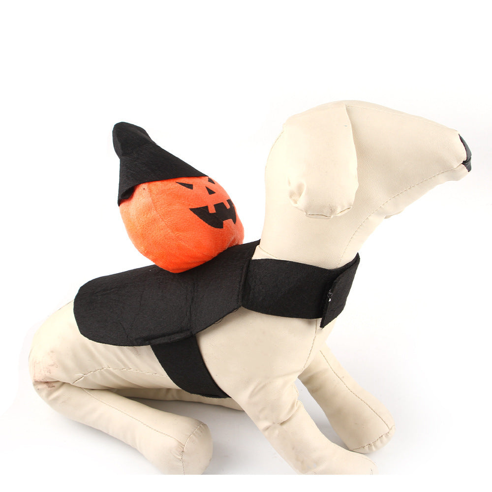 Hond Persoonlijkheid Halloween Huisdier Kostuum